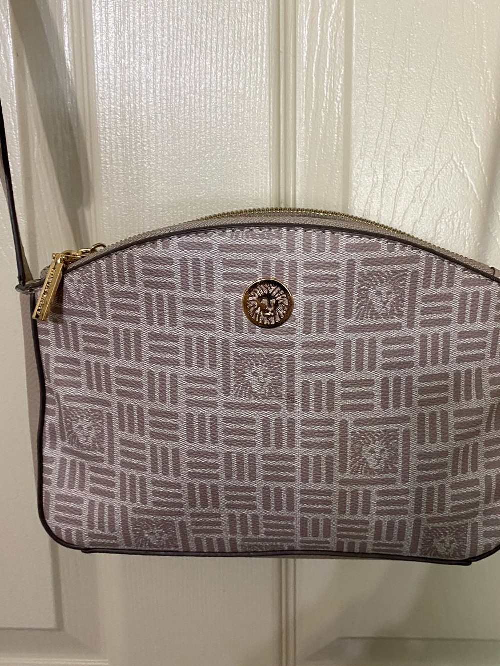 Women's Pink Patterned Crossbody Bag with Gold Accent. Anne Klein.
